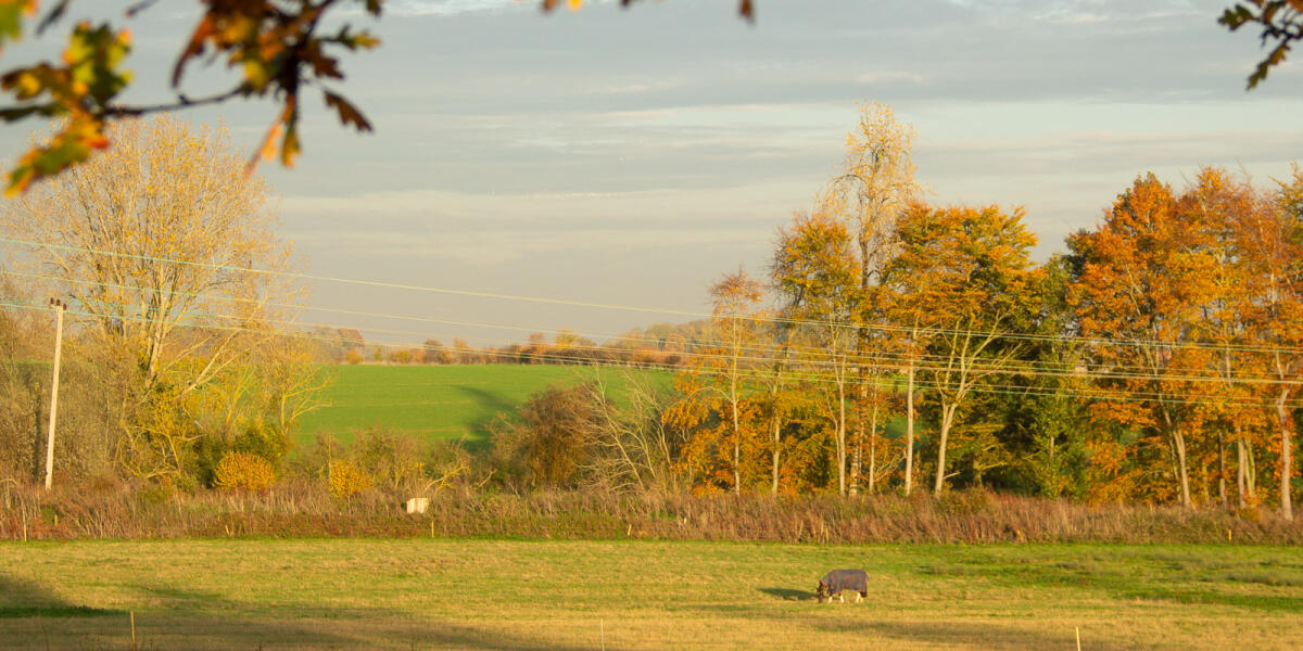 Hacheston in Autumn